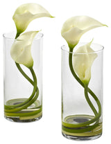 Double Calla Lily With Cylinder, Set of 2, Cream