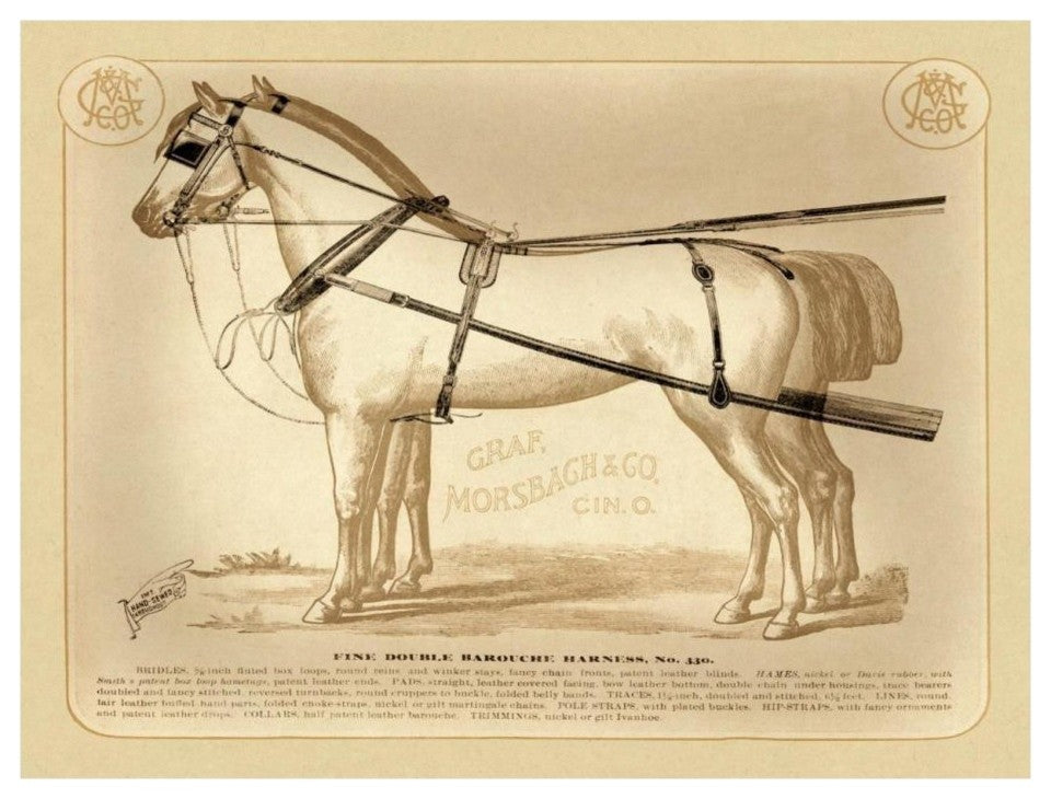 "Saddles and Tack: Fine Double Barouche Harness" Paper Print, 26"x20"
