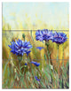 "Cornflowers in Full Bloom" Glossy Metal Wall Art, 3 Panels, 28"x36"