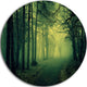 Green Light In Thick Mist Forest, Landscape Photo Round Wall Art, 23"