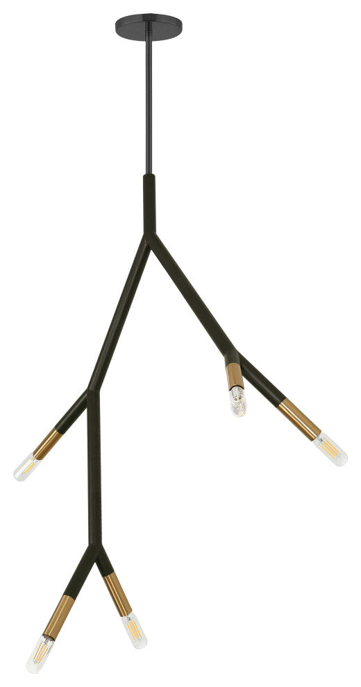 Morgan Transitional 5 Light Matte Black Aged Brass Metal Pendant