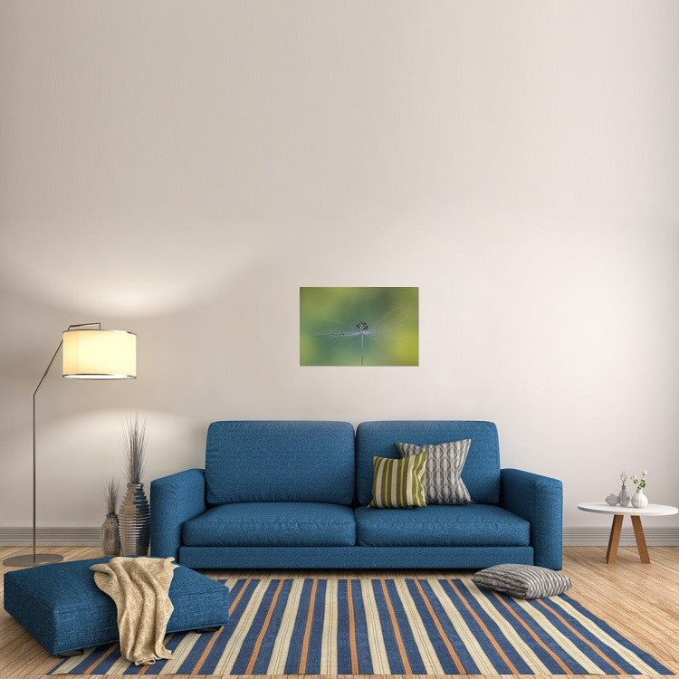 "Magic Bunch" Stretched Canvas Giclee by Bertrand Kulik, 30"x20"