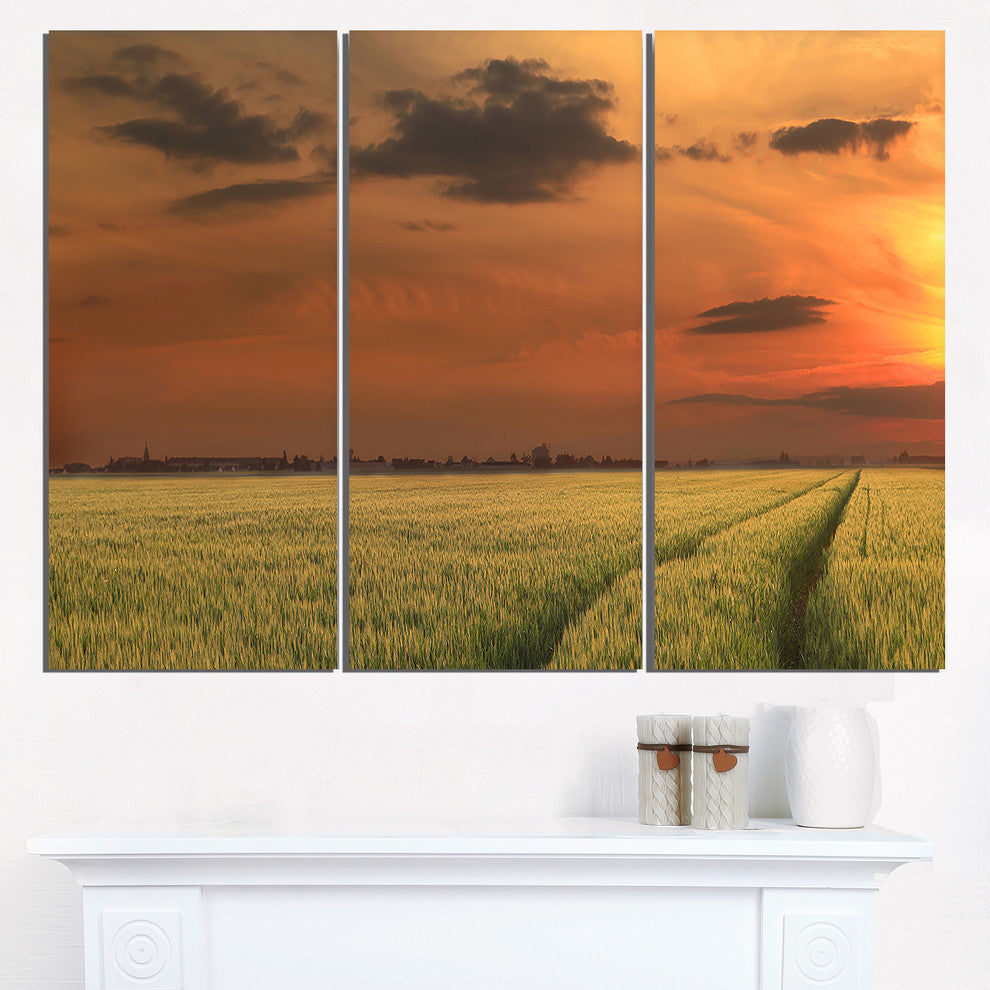 "Sunset Over a Field of Cereals" Metal Landscape, 3 Panels, 36"x28"