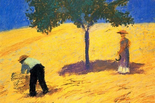Tree in Cornfield - Canvas Poster 20" x 30"