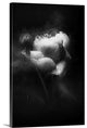 "Chaotic Emotion" Wrapped Canvas Art Print, 24"x36"x1.5"