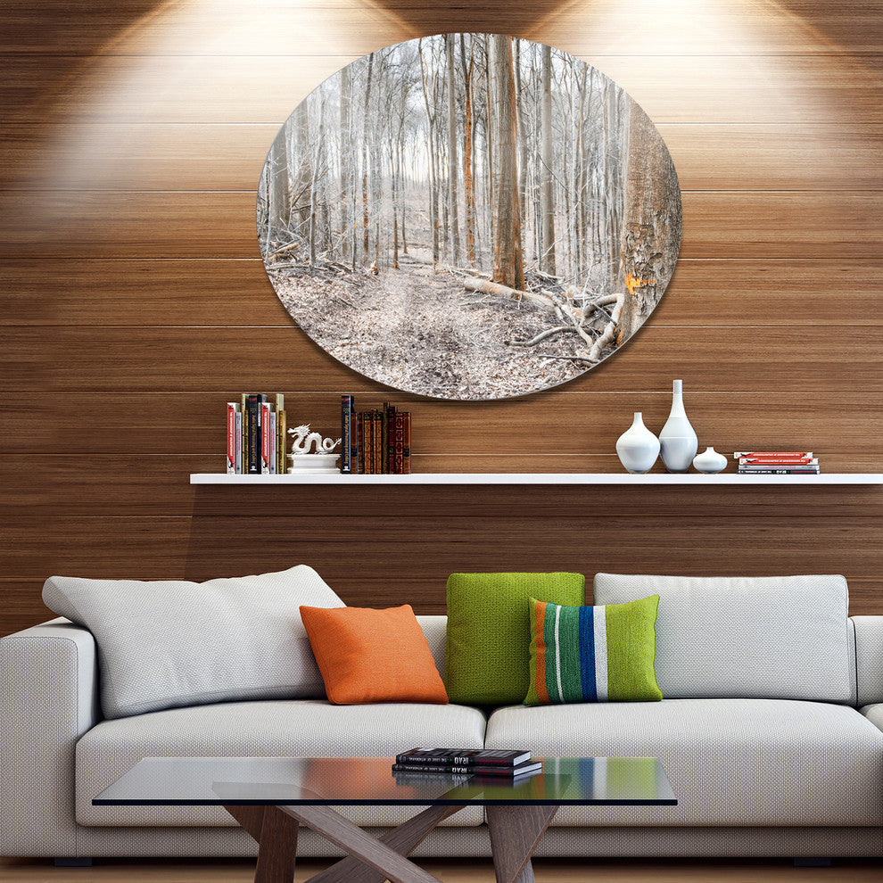 Dense Forest In The Winter Photography, Forest Round Wall Art, 11"