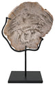 Wood Fossil with Stand, 8"