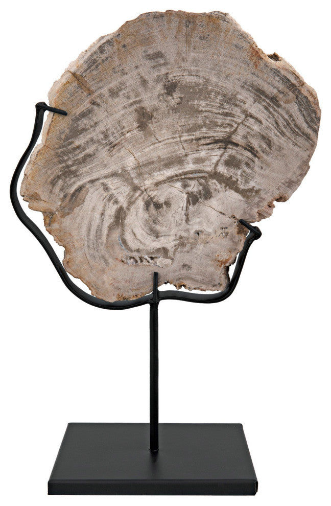 Wood Fossil with Stand, 8"