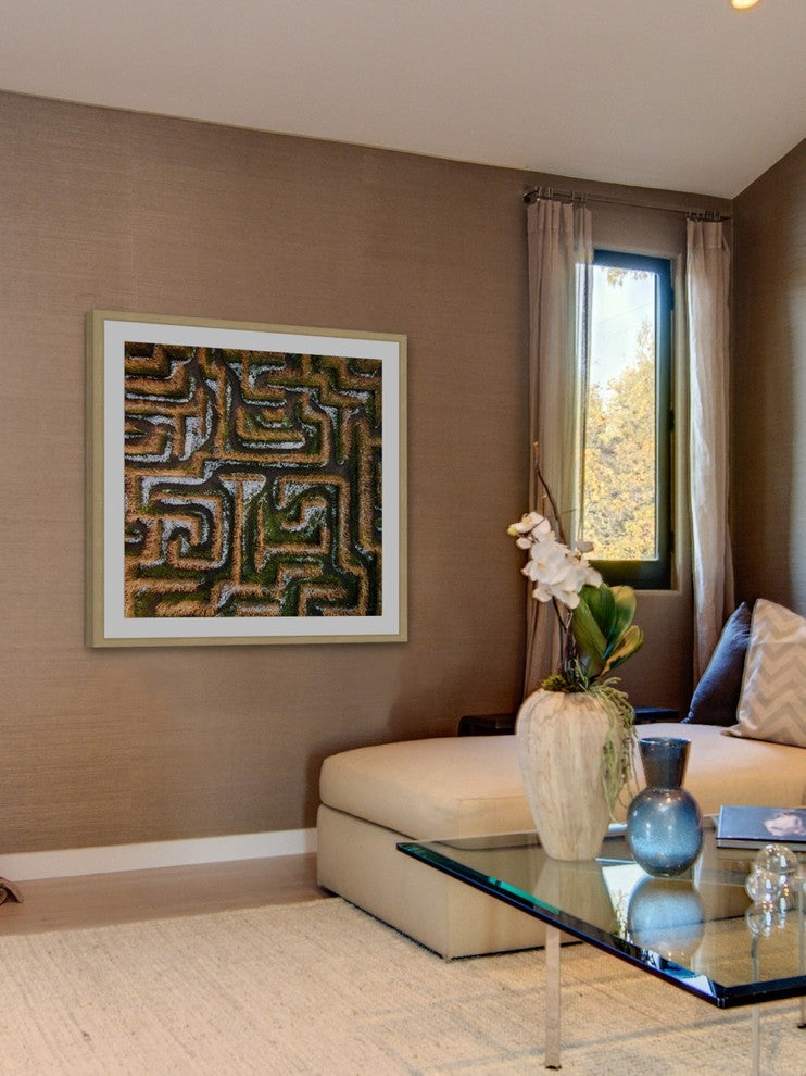 "Earth Maze" Framed Print by Karolis Janulis