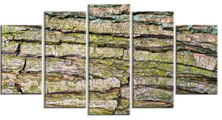 Thick Tree Skin Close Up, Floral Canvas Art Print, 60"x32", 5 Panels