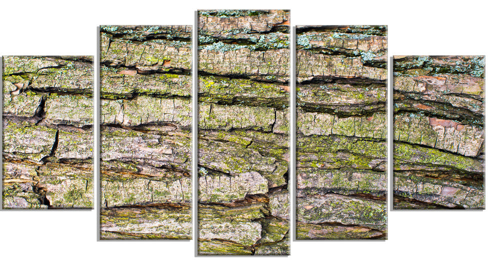Thick Tree Skin Close Up, Floral Canvas Art Print, 60"x32", 5 Panels