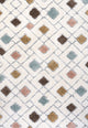 Astrid Retro Trellis High-Low Multi/Cream 4'x6' Area Rug