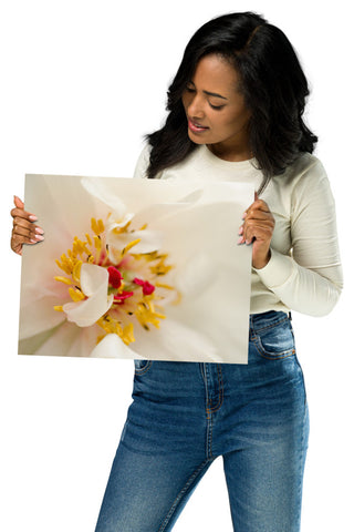 Eye of Peony Nature Photography, Floral Unframed Wall Art Print, 11" X 14"