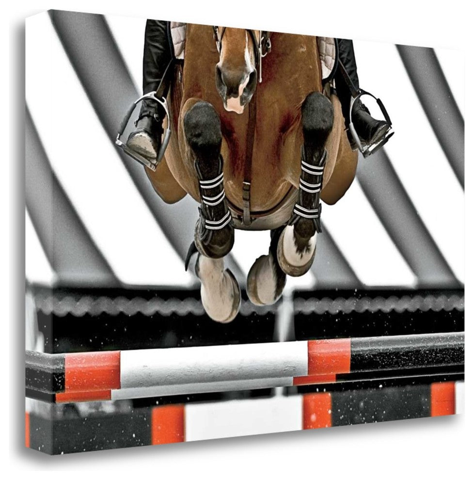 "Airborne" By Lisa Cueman, Giclee Print on Gallery Wrap Canvas, Ready to Hang