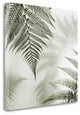 "Ferns No. 1" By Alan Blaustein, Giclee Print on Gallery Wrap Canvas