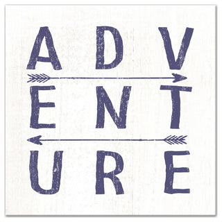Adventure Arrows 12x12 Canvas Wall Art