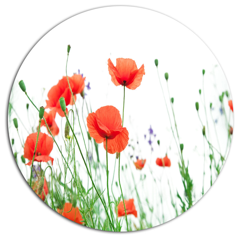 Poppy Flowers On White Background, Floral Disc Metal Artwork, 11"