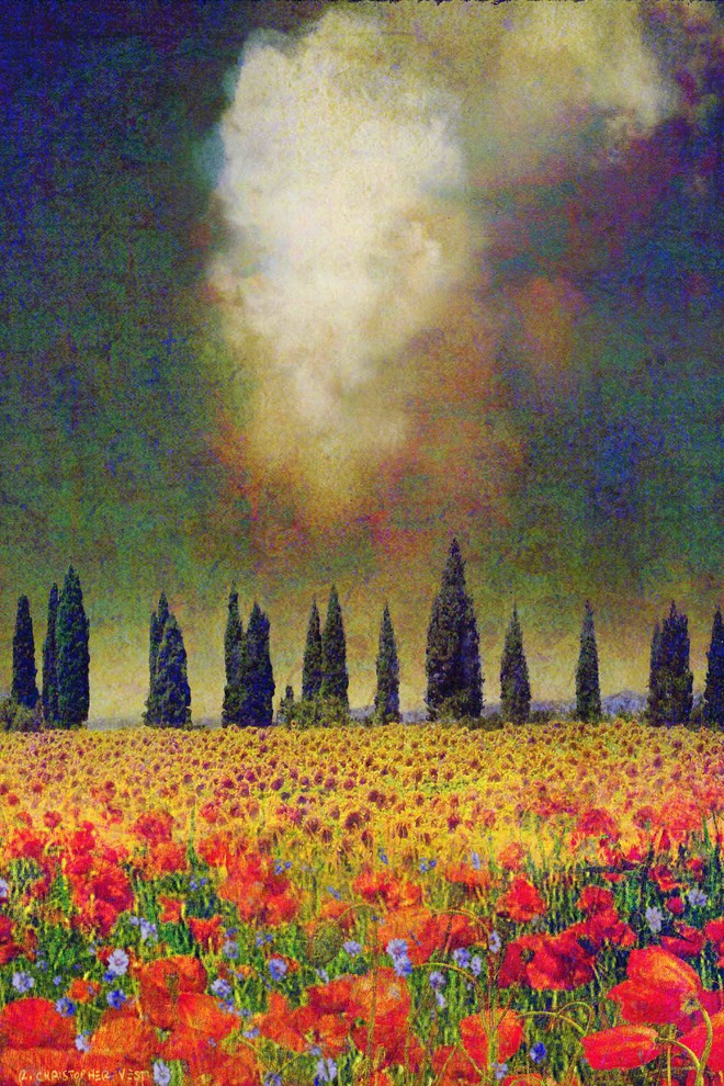 "Poppies and Poplar" Painting Print on Canvas by Chris Vest