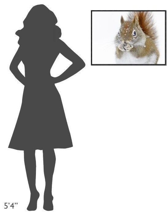 "Christmas Squirrel" Framed Canvas Giclee by Mircea Costina, 25x19"