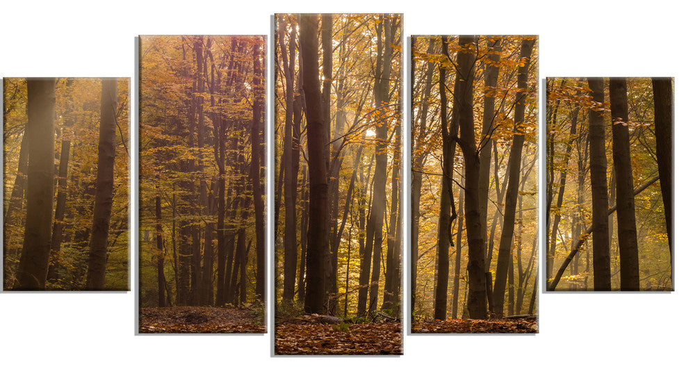 Dense Forest in Rays of Rising Sun, Forest Canvas Art Print, 60"x32", 5 Panels