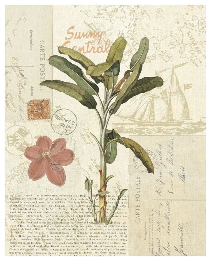 "Floridian III" Digital Paper Print by Katie Pertiet, 30"x37"