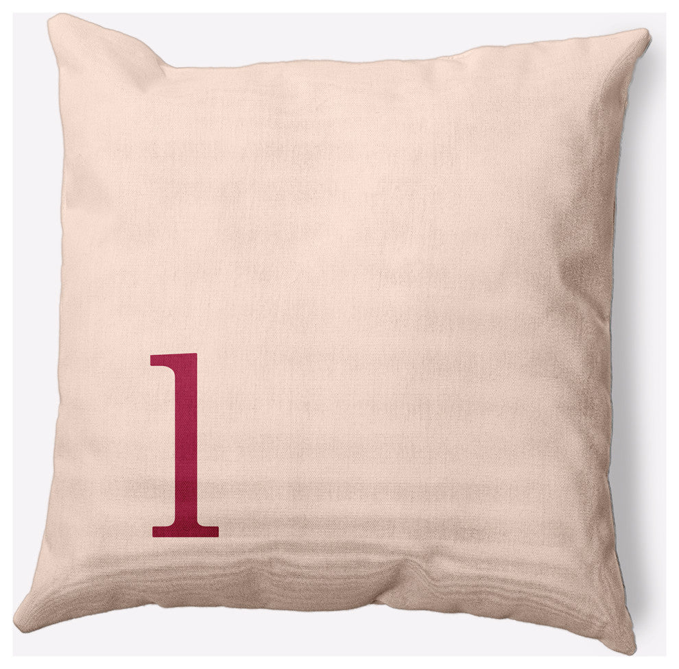 20" x 20" Modern Monogram Indoor/Outdoor Polyester Throw Pillow, Cranberry