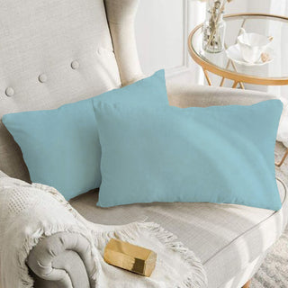 A1HC Throw Pillow Insert, Down Alternative Fill, Set of 2, Light Blue, 12"x20"