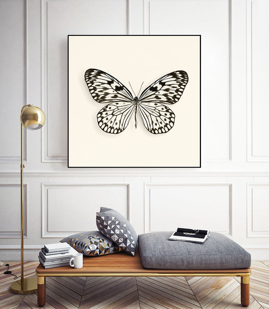 "Butterfly V Bw Crop" Art Block Framed Canvas, 30"x30"