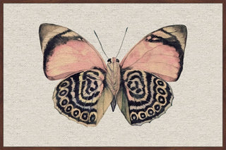 "Artsy Pink and Black Wings II" Floater Framed Painting Print, Canvas, 36"x24"