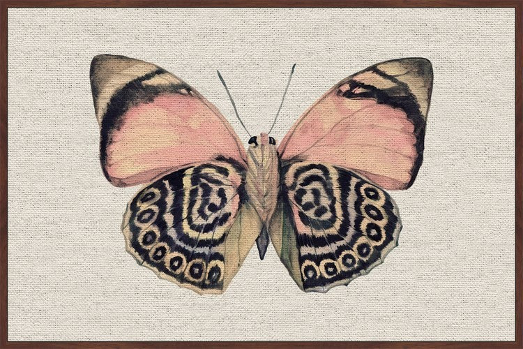 "Artsy Pink and Black Wings II" Floater Framed Painting Print, Canvas, 36"x24"