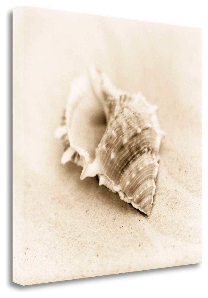 "Il Oceano No. 3" By Alan Blaustein, Giclee Print on Gallery Wrap Canvas