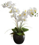 White Silk Orchid Design in Black Bowl