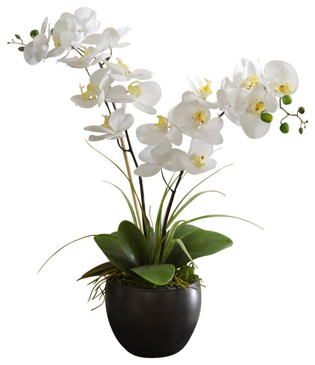 White Silk Orchid Design in Black Bowl