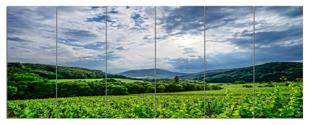 Thunderstorm Weather over Vineyards, Landscape Canvas Print, 70"x28", 6 Panels