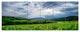 Thunderstorm Weather over Vineyards, Landscape Canvas Print, 70"x28", 6 Panels