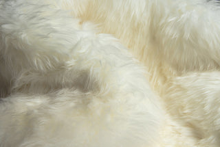 5' Off White Round Shag Sheepskin Area Rug