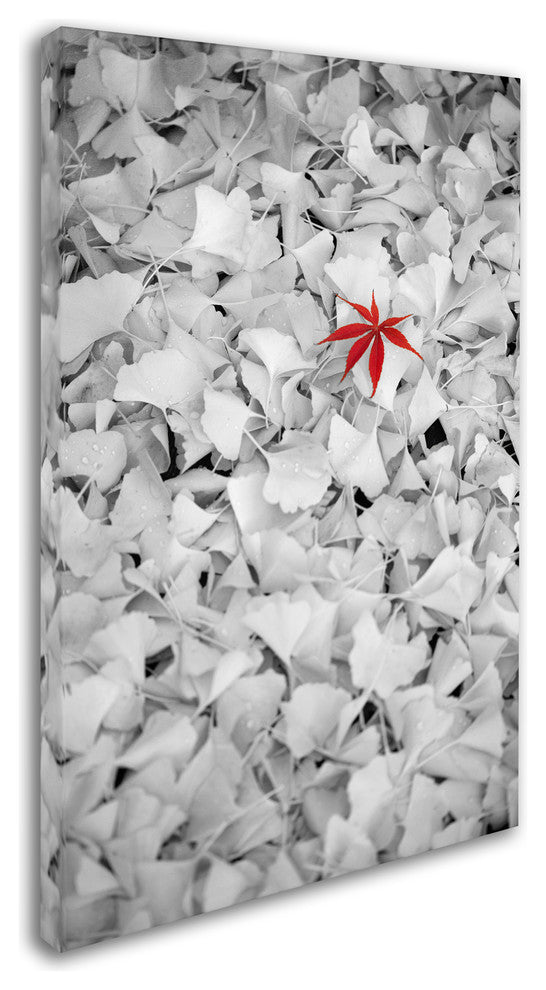 'Rebel Leaf' Canvas Art by Philippe Sainte-Laudy