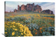 "California Brittlebush, Superstition Mountains, Arizona" Artwork