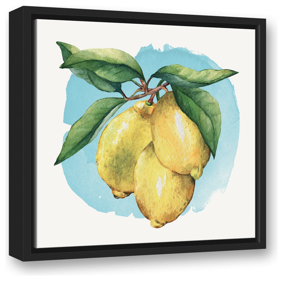 Lemons on the Vine with Blue Background 16x16 Black Floating Framed Canvas