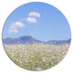Chamomiles With Hills On Background, Flower Round Wall Art, 23"