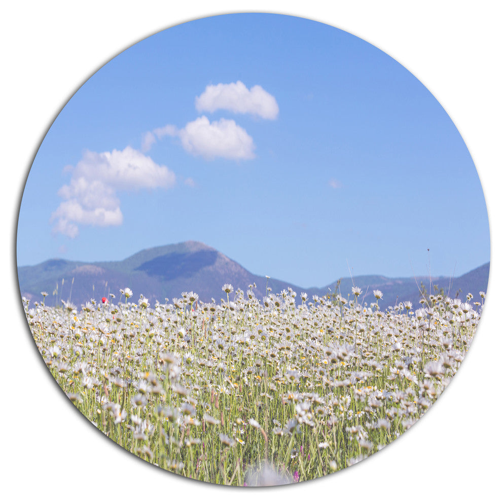 Chamomiles With Hills On Background, Flower Round Wall Art, 23"
