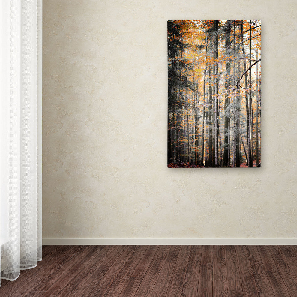 'Autumn Tones' Canvas Art by Philippe Sainte-Laudy