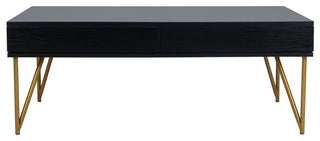 Safavieh Pine Two Drawer Coffee Table, Black/Gold
