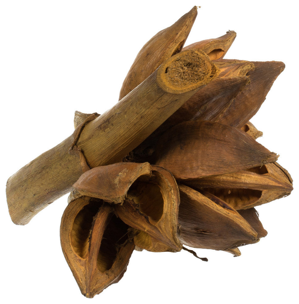 Vickerman H2Sta725 6" Aspen Gold Star Pod, 1 Piece, Dried