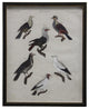 Colorful Birds, Copper And Black Shadowbox