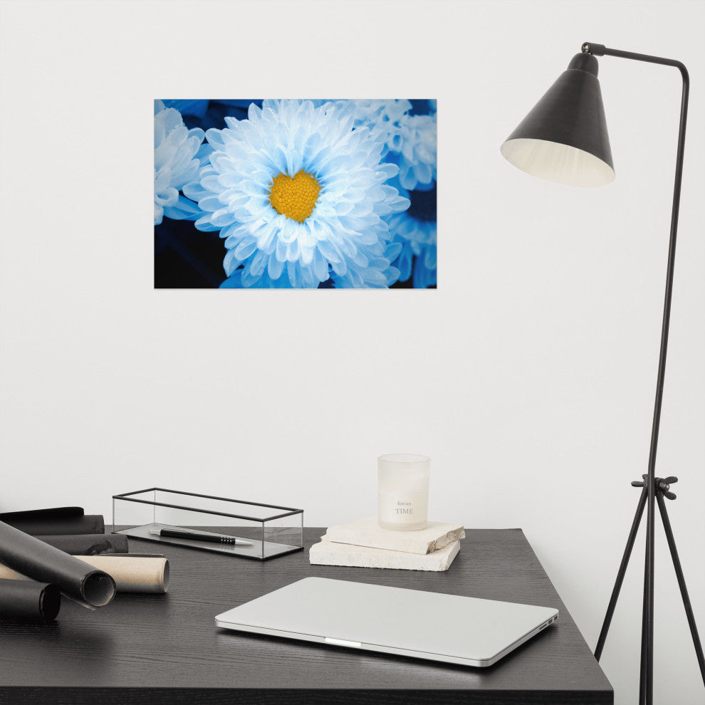 Blue Tinted Chrysanthemums Floral Nature Photo Loose Wall Art Print, 12" X 18"