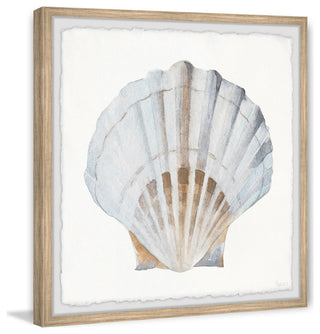 "Pretty White Shell" Framed Painting Print, 18"x18"