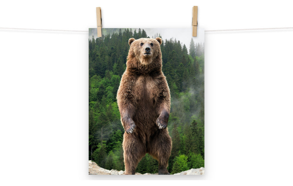 Big Standing Brown Bear On Mountain Top Loose Wall Art Print, 11" X 14"