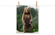 Big Standing Brown Bear On Mountain Top Loose Wall Art Print, 11" X 14"