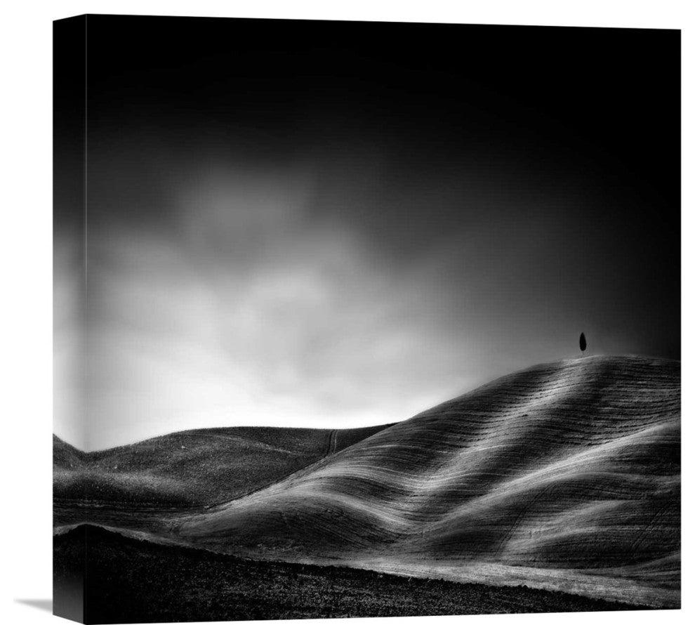 "La Vie Reprendra Au Printemps" Stretched Canvas Giclee by Piet Flour, 16"x16"